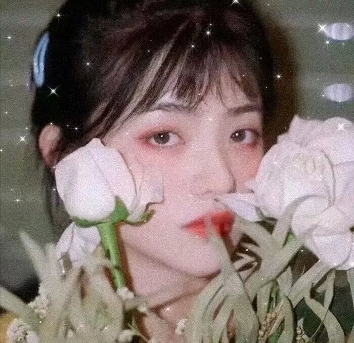 指挥家